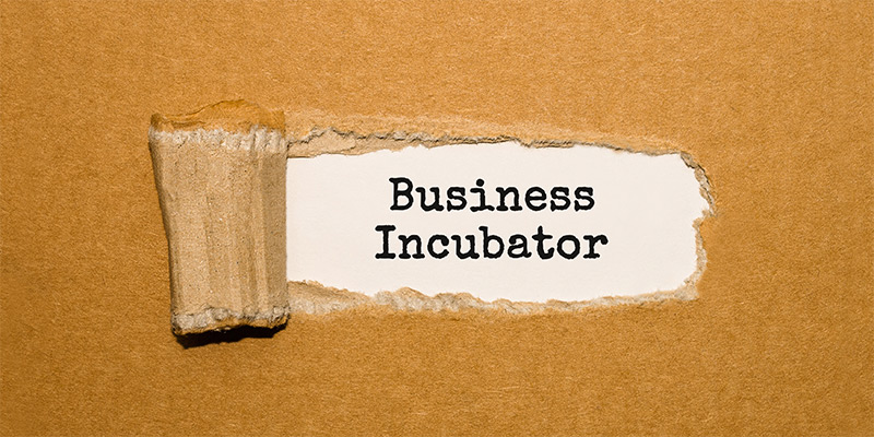 Introducing my microcap “Incubator”